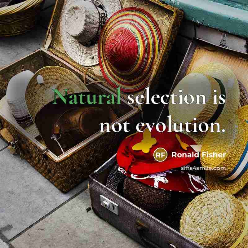 “Natural selection is not evolution.…” quote by Ronald Fisher