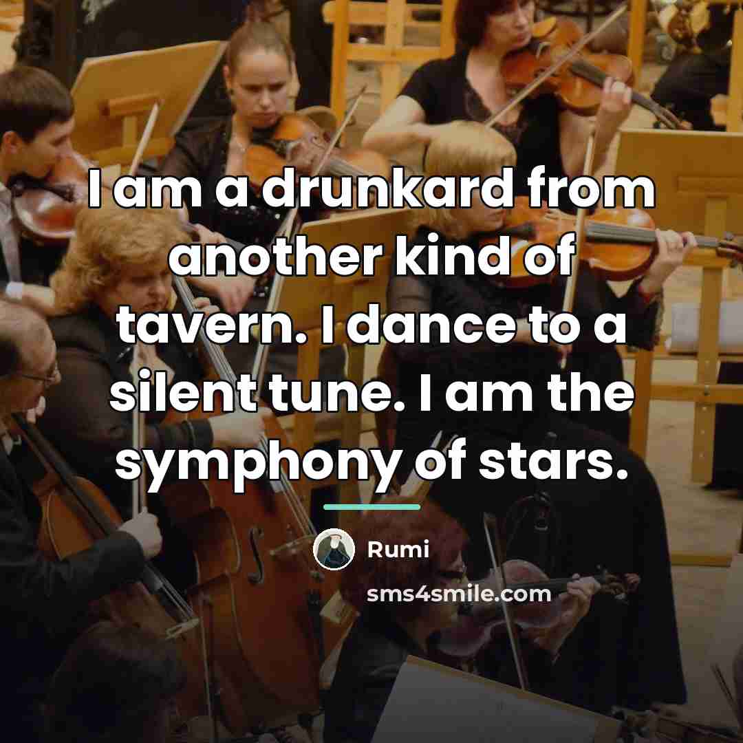 “I am a drunkard from another kind of tavern. I…” quote by Rumi