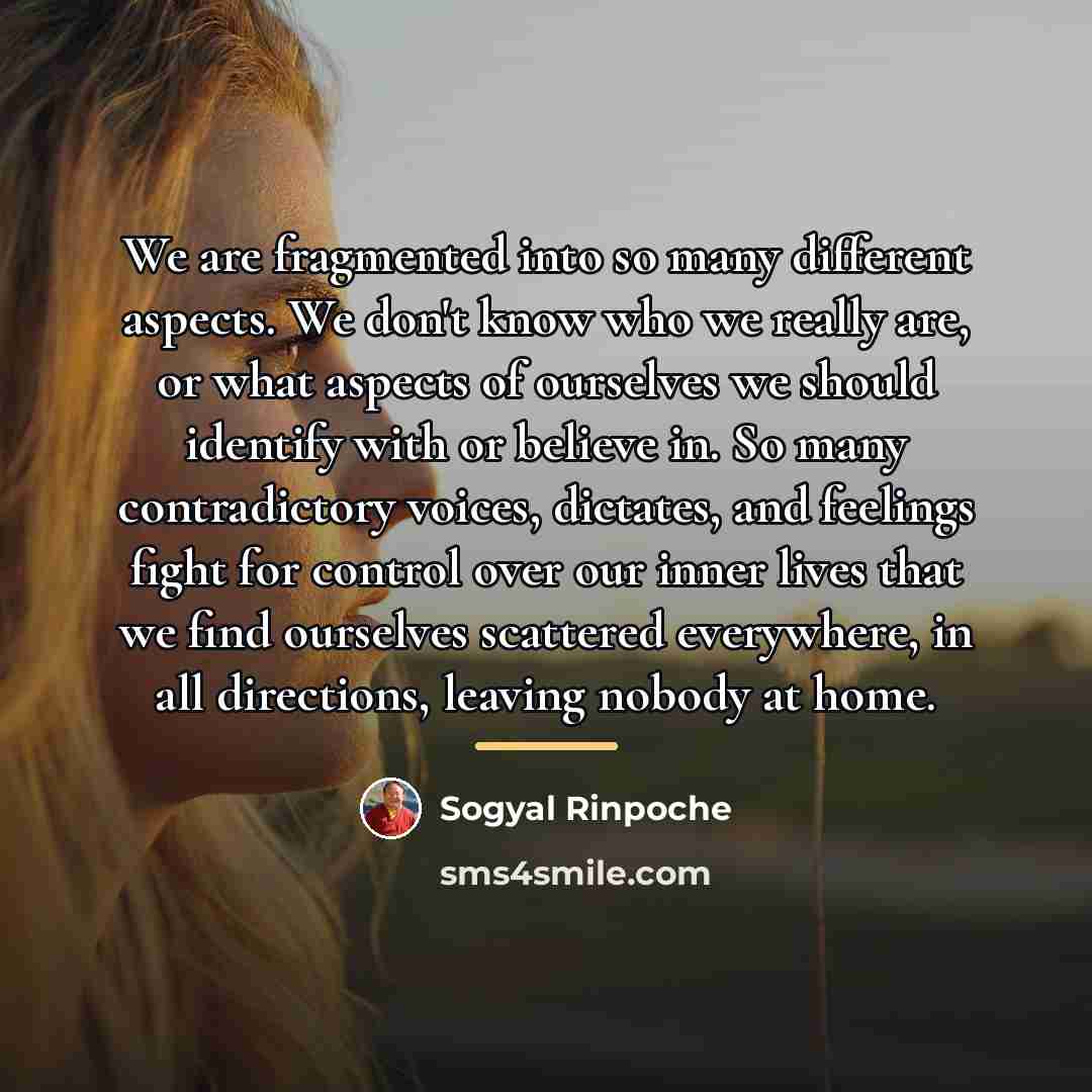“We are fragmented into so many different aspects. We don't…” quote by Sogyal Rinpoche