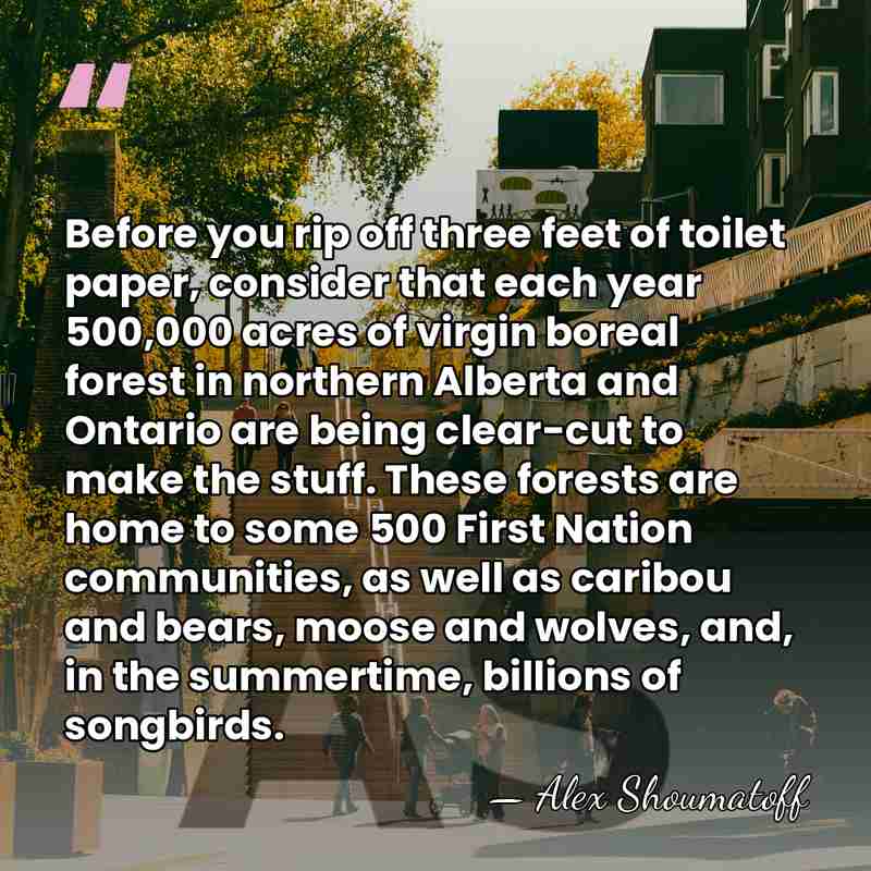 Before you rip off three feet of toilet paper, consider that each&hellip; - Alex Shoumatoff