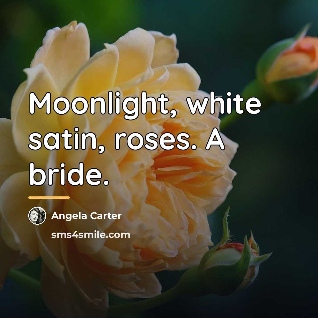 “Moonlight, white satin, roses. A bride.…” quote by Angela Carter