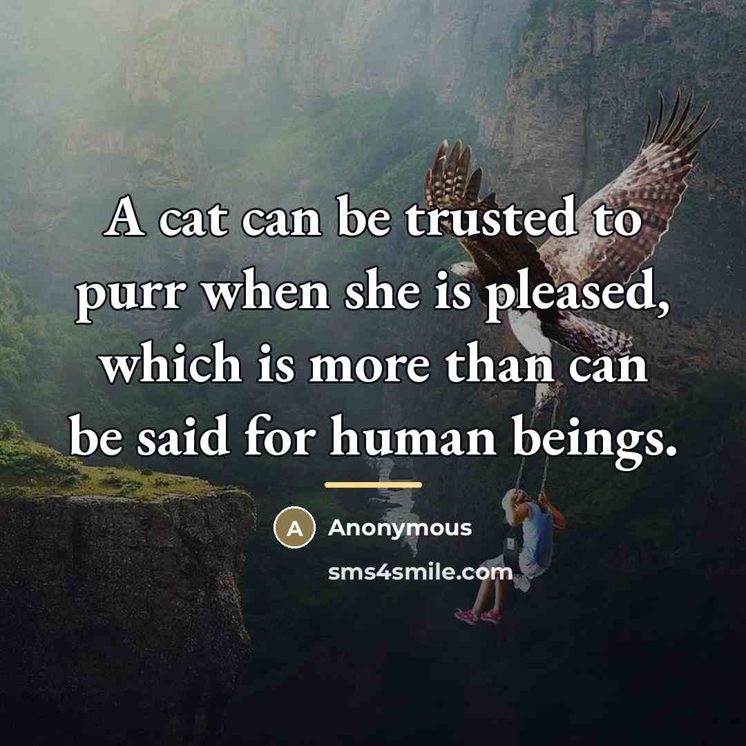 “A cat can be trusted to purr when she is…” quote by Anonymous
