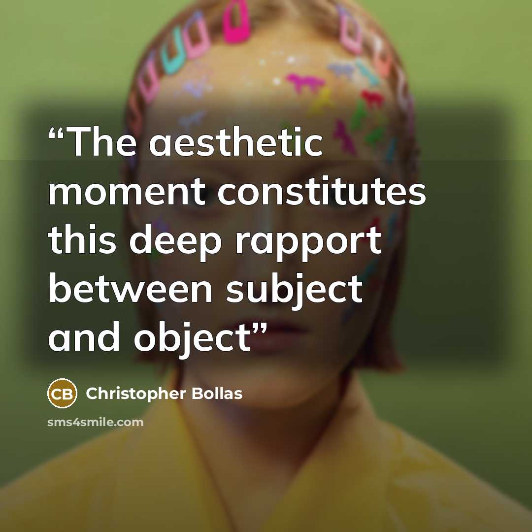 “The aesthetic moment constitutes this deep rapport between subject and object” quote by Christopher Bollas