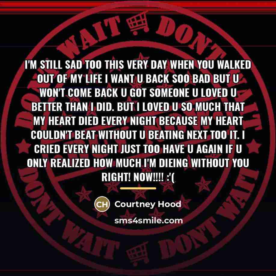 “I'm still sad too this very day when you walked…” quote by Courtney Hood