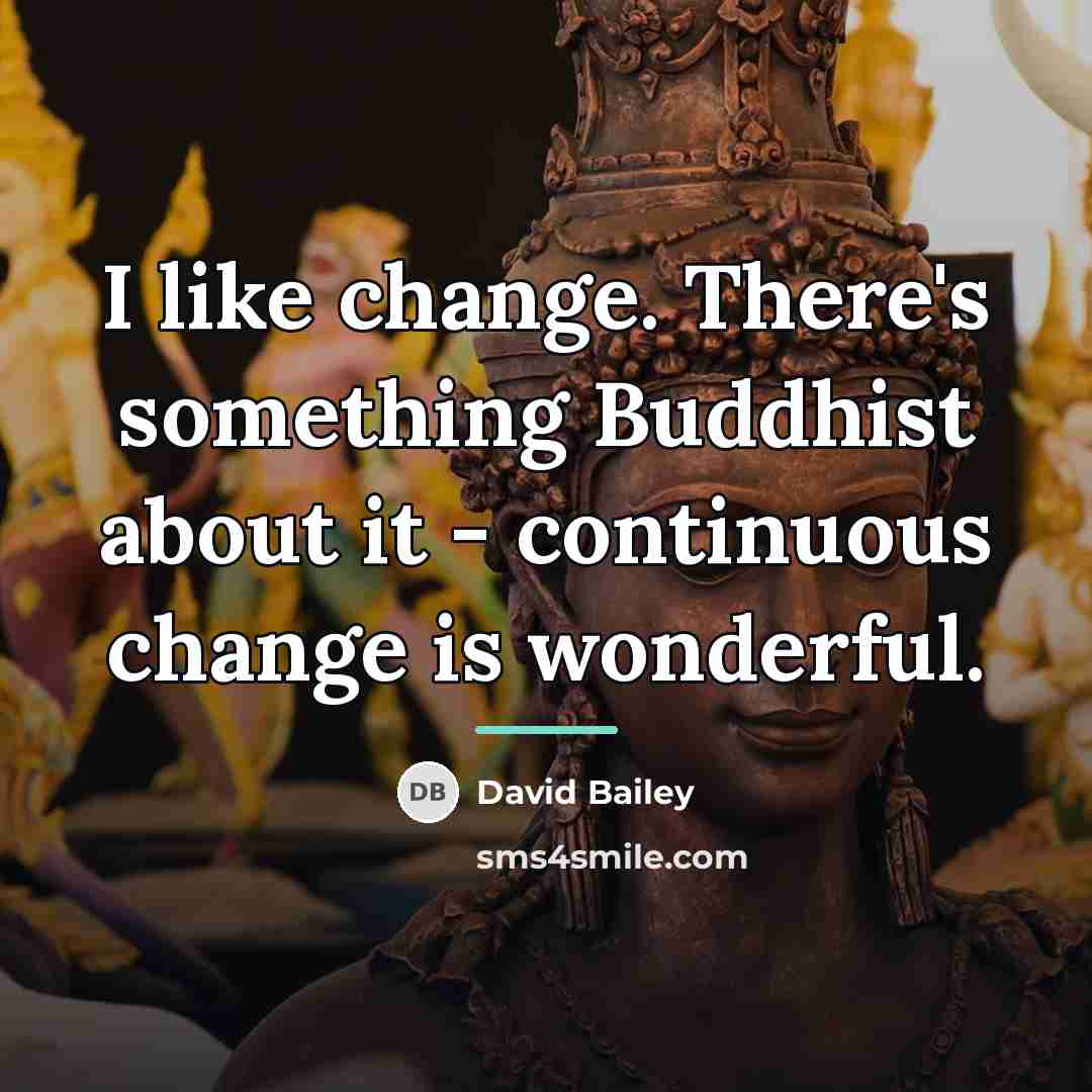 “I like change. There's something Buddhist about it - continuous…” quote by David Bailey