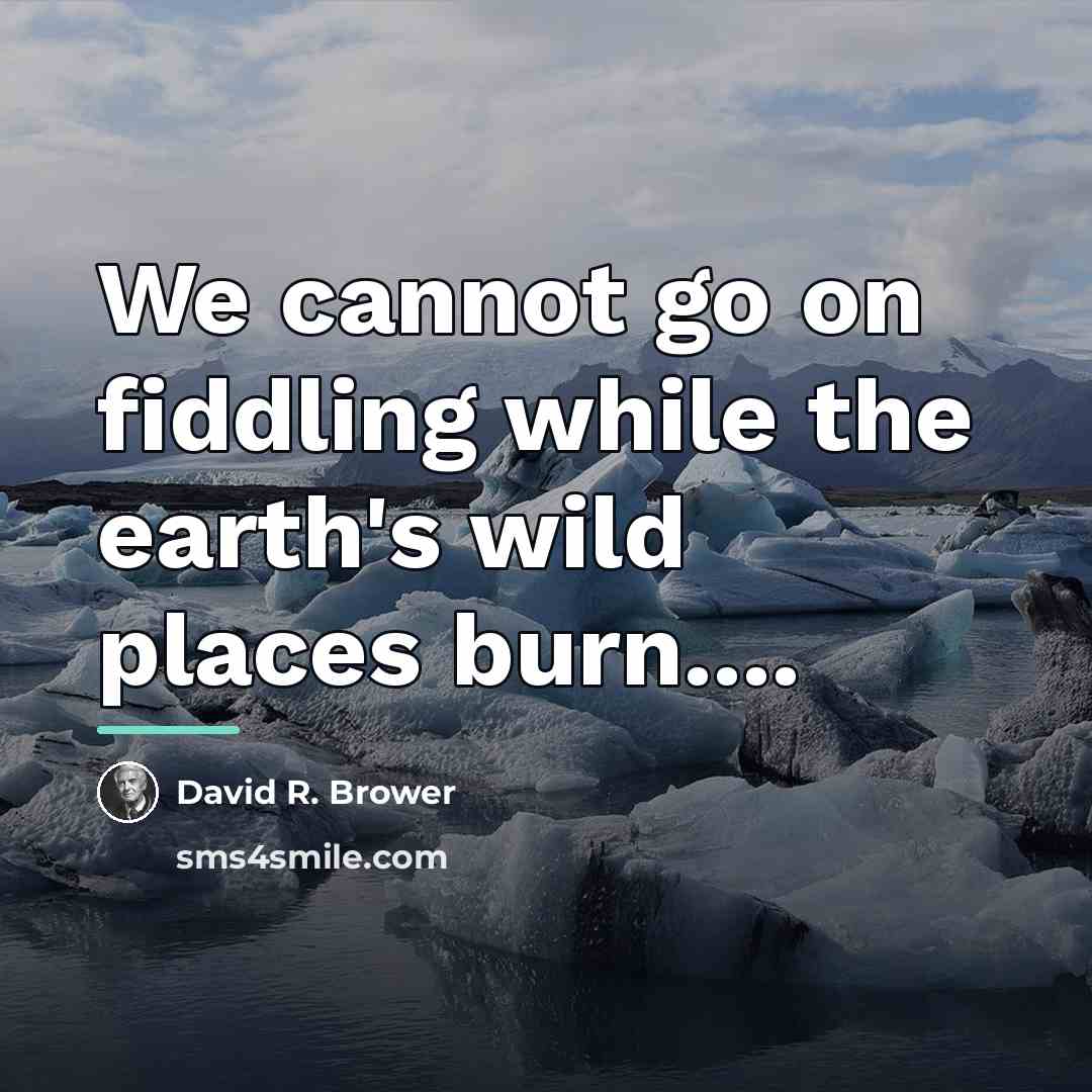 “We cannot go on fiddling while the earth's wild places…” quote by David R. Brower
