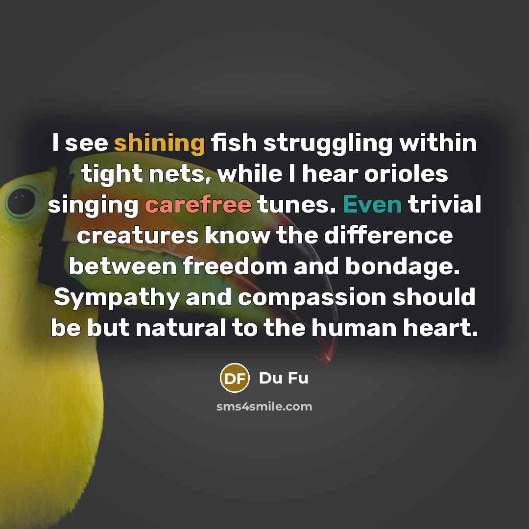 “I see shining fish struggling within tight nets, while I…” quote by Du Fu