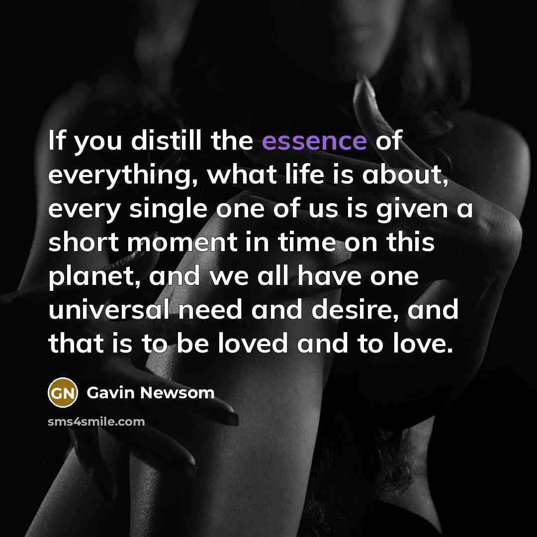“If you distill the essence of everything, what life is…” quote by Gavin Newsom