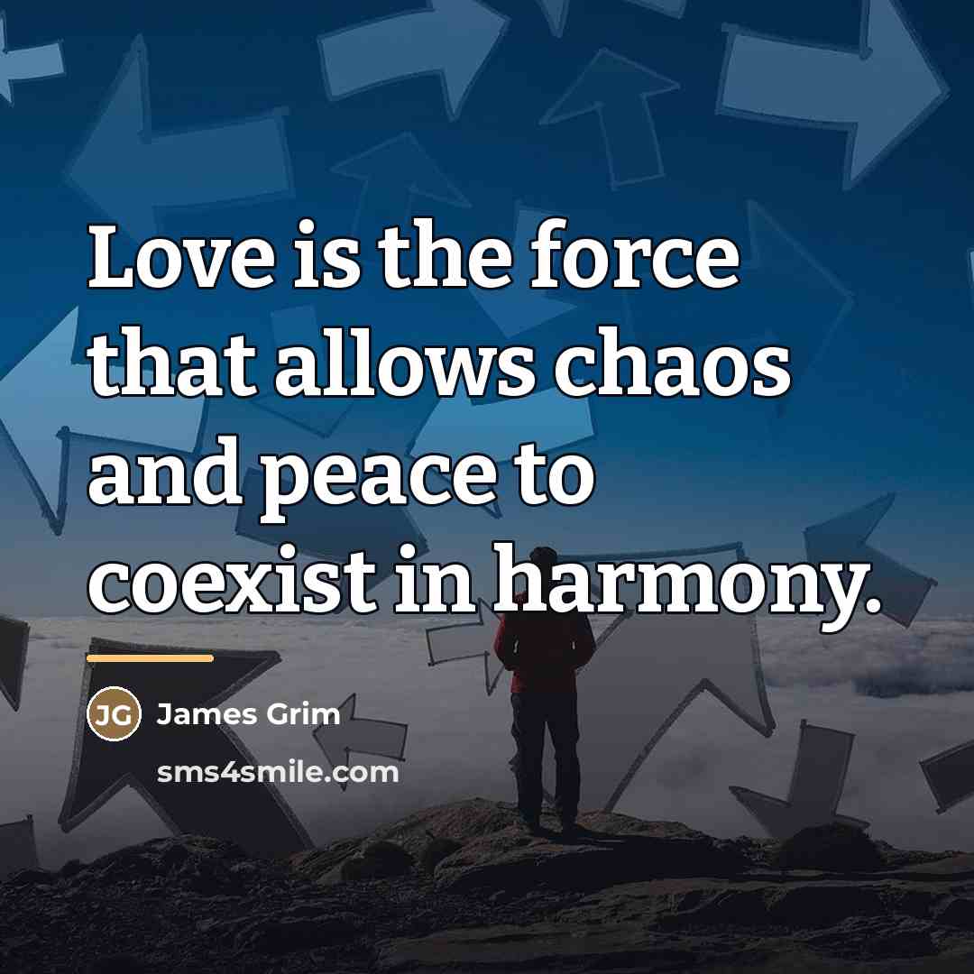 “Love is the force that allows chaos and peace to…” quote by James Grim