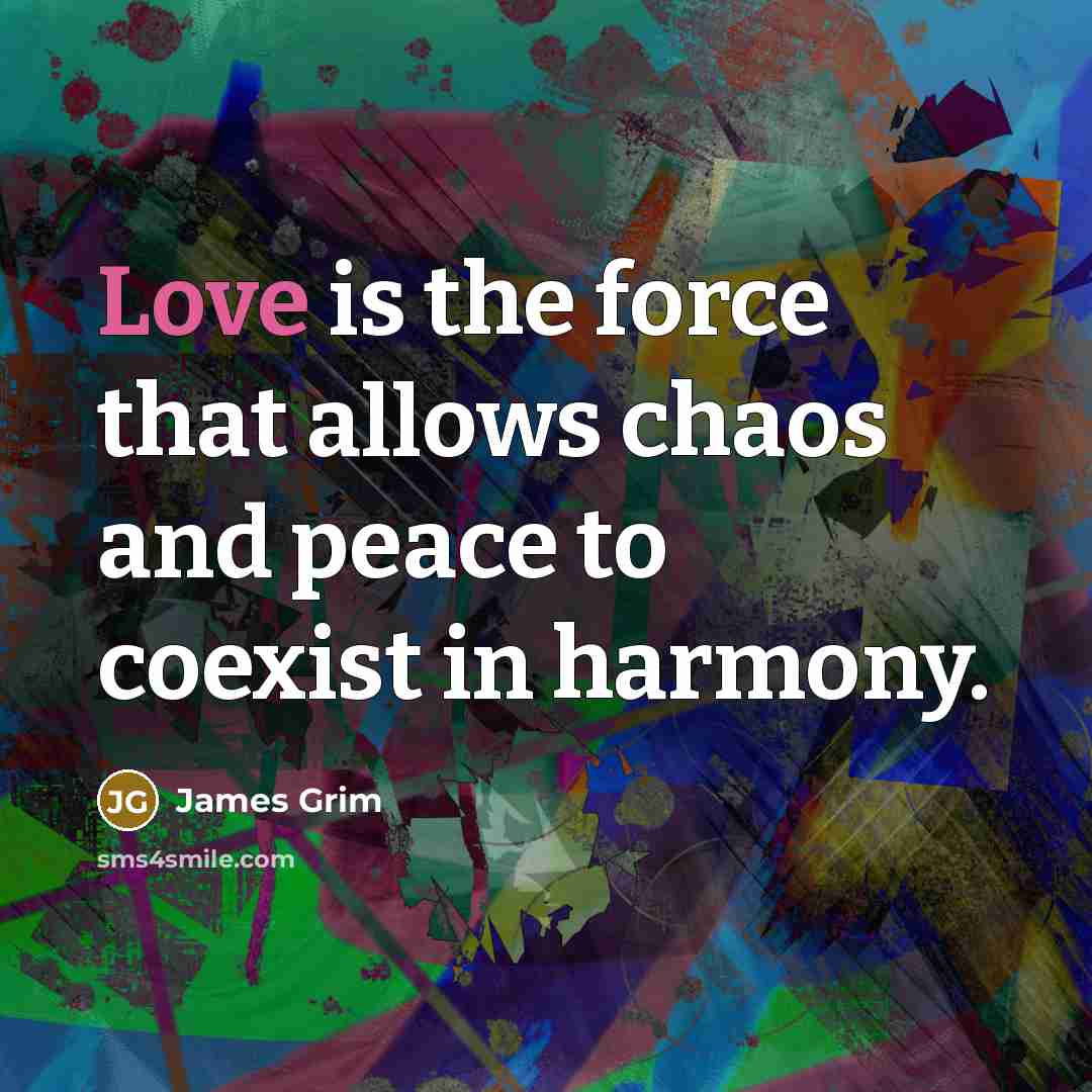 “Love is the force that allows chaos and peace to coexist in harmony.” quote by James Grim