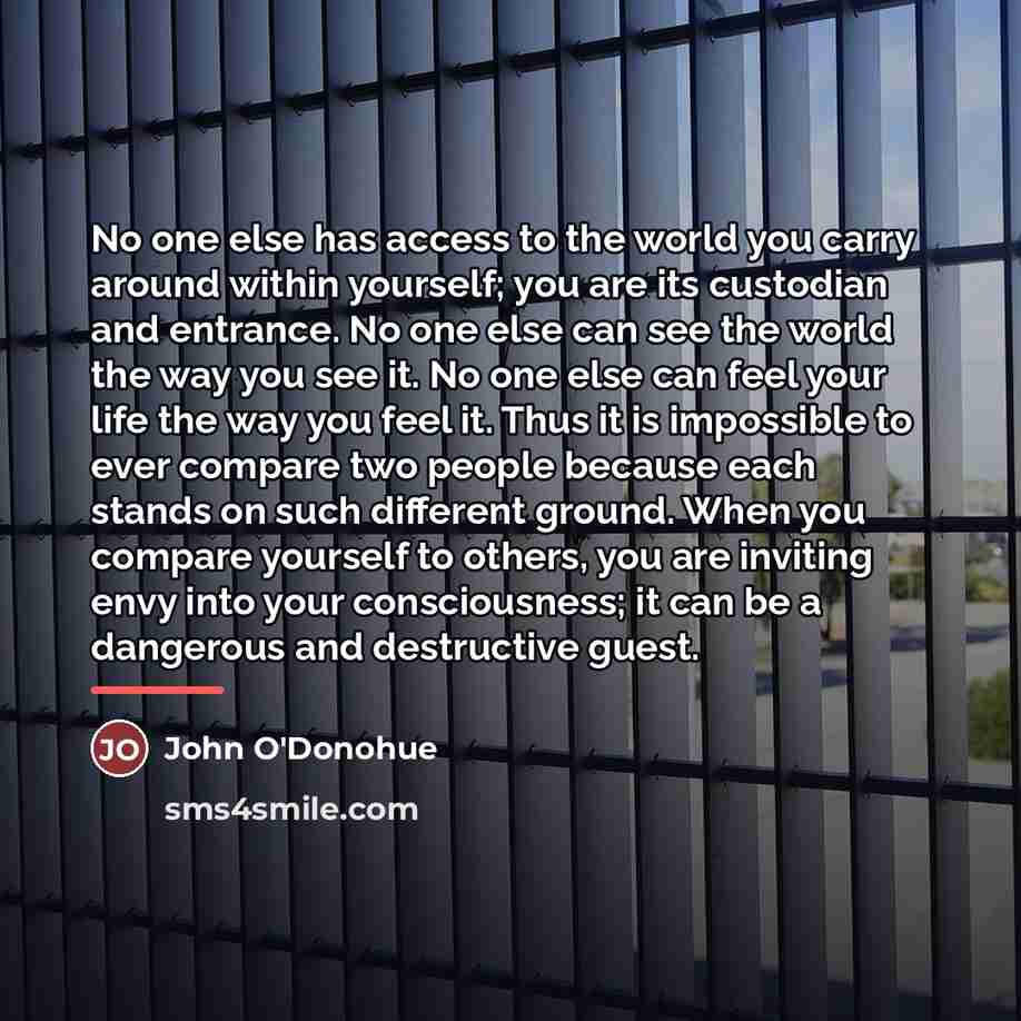 “No one else has access to the world you carry…” quote by John O'Donohue