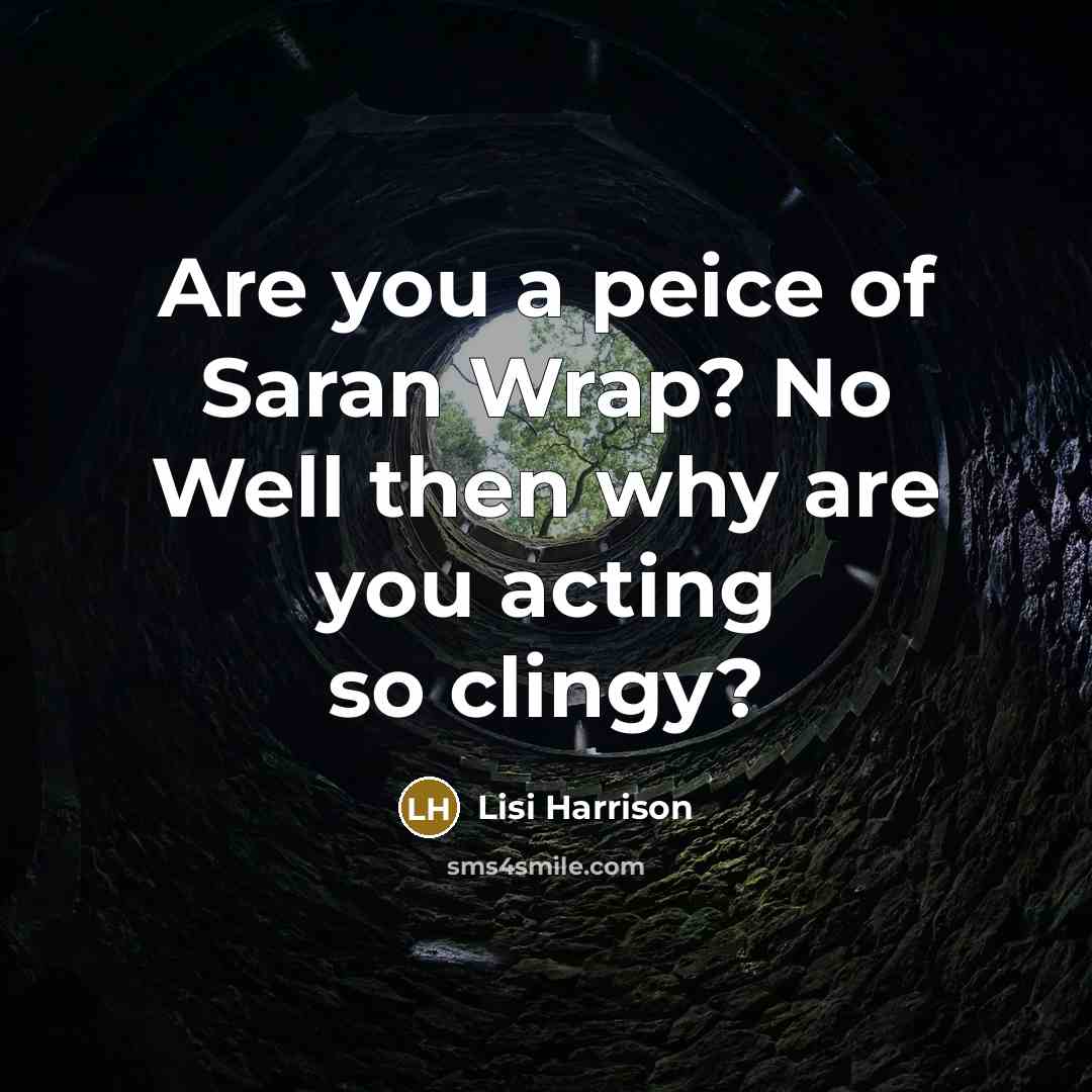 “Are you a peice of Saran Wrap? No Well then…” quote by Lisi Harrison