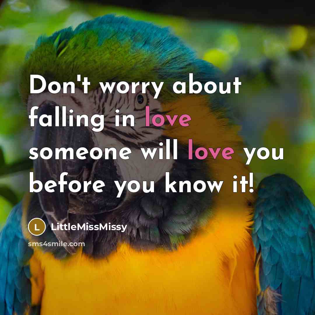 “Don't worry about falling in love someone will love you…” quote by LittleMissMissy
