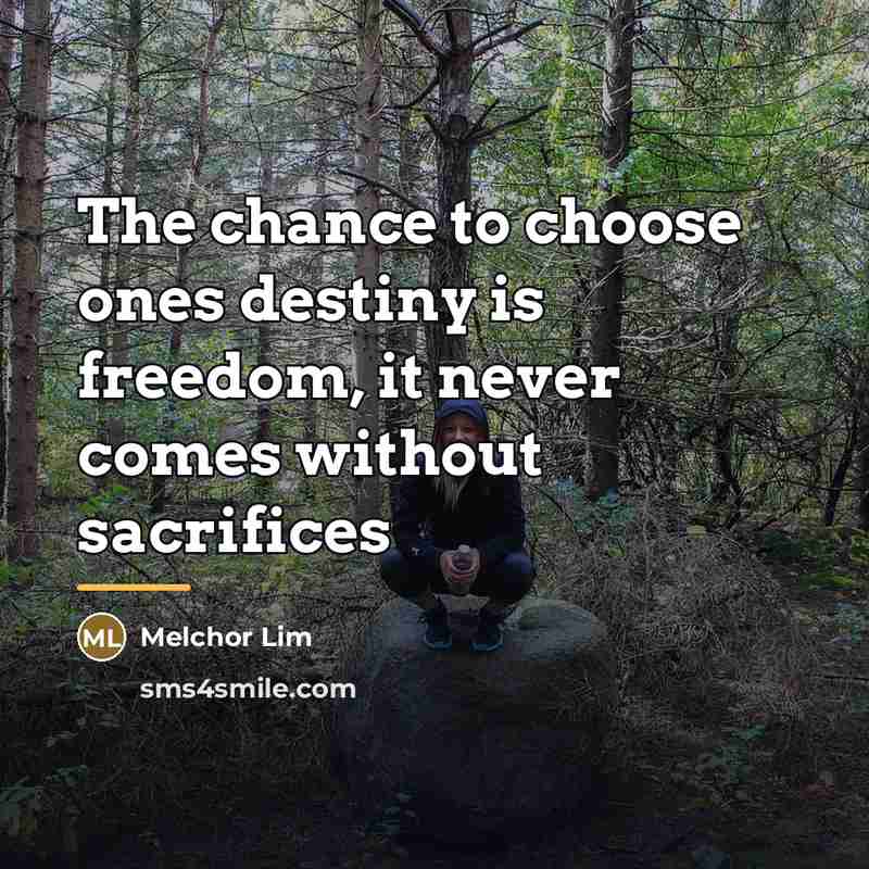 “The chance to choose ones destiny is freedom, it never…” quote by Melchor Lim