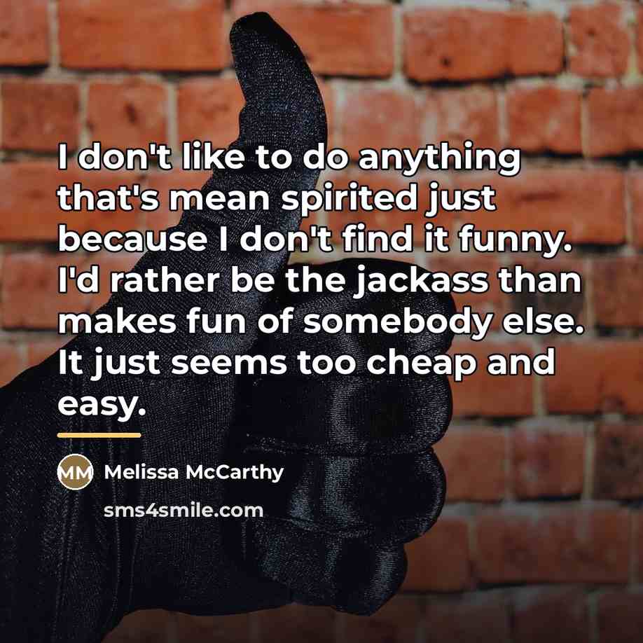 “I don't like to do anything that's mean spirited just…” quote by Melissa McCarthy