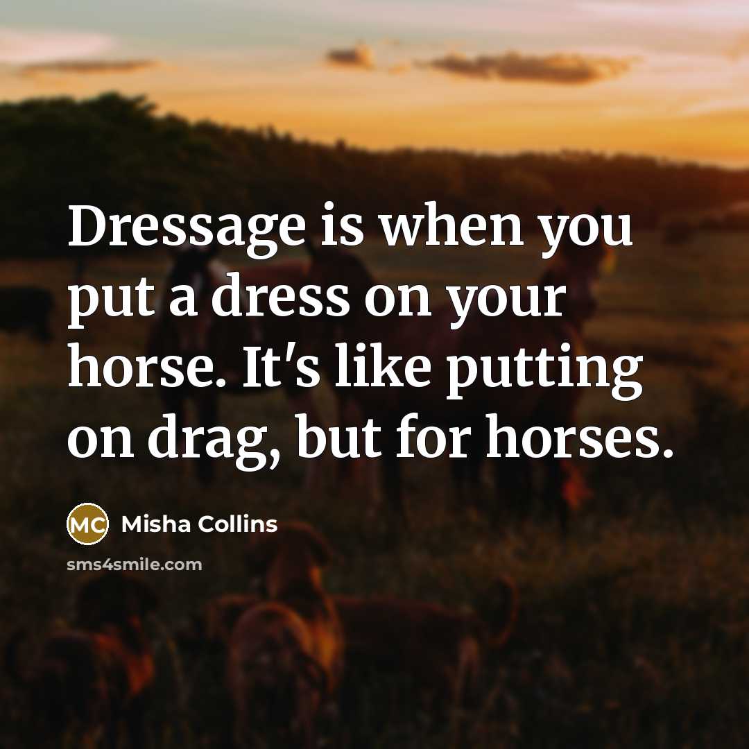 “Dressage is when you put a dress on your horse.…” quote by Misha Collins