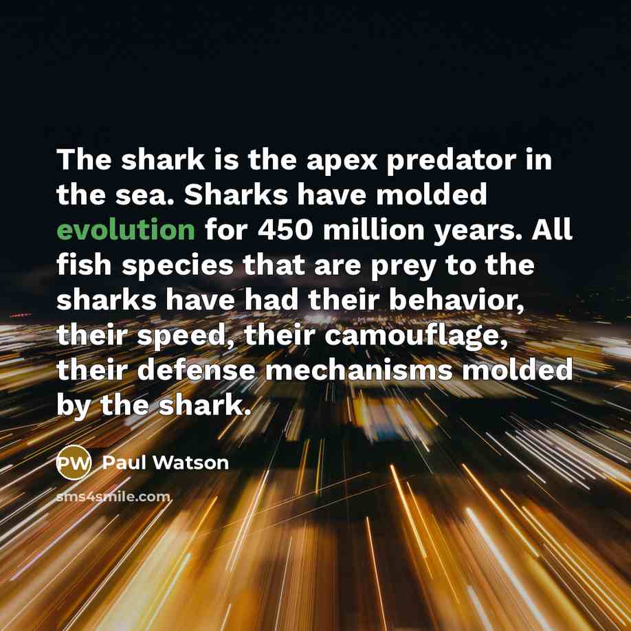 “The shark is the apex predator in the sea. Sharks…” quote by Paul Watson