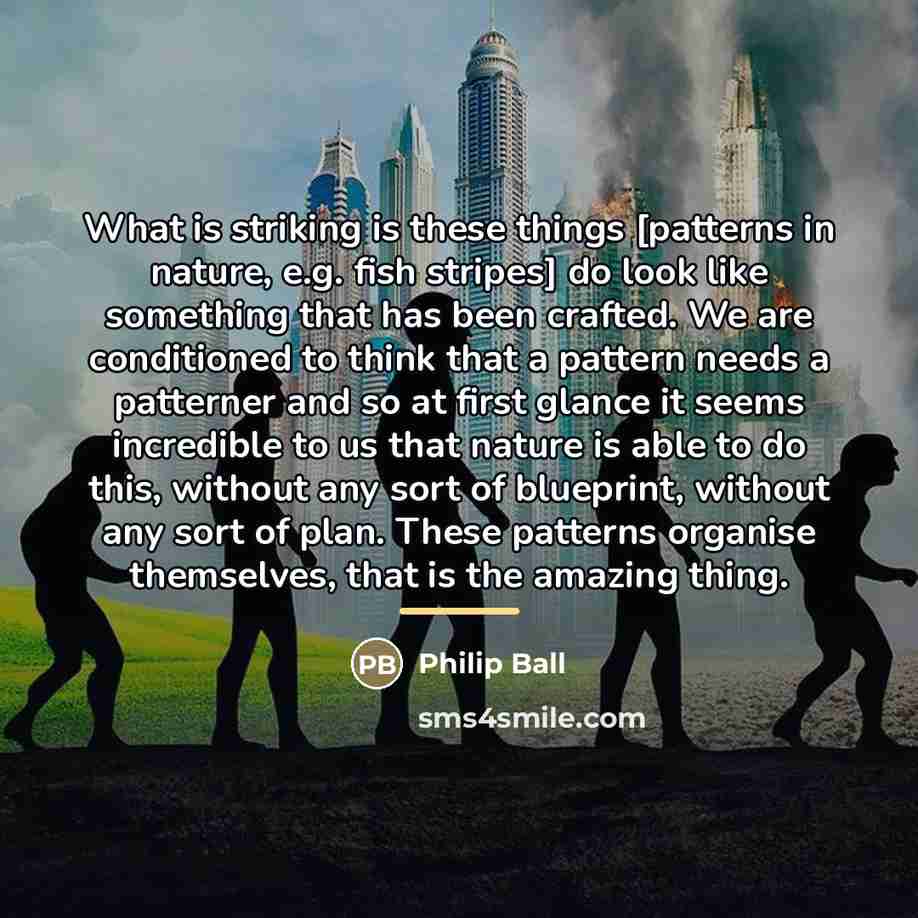“What is striking is these things [patterns in nature, e.g.…” quote by Philip Ball