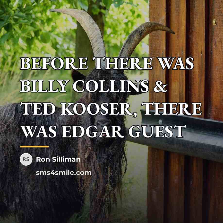 “BEFORE THERE WAS BILLY COLLINS & TED KOOSER, THERE WAS…” quote by Ron Silliman