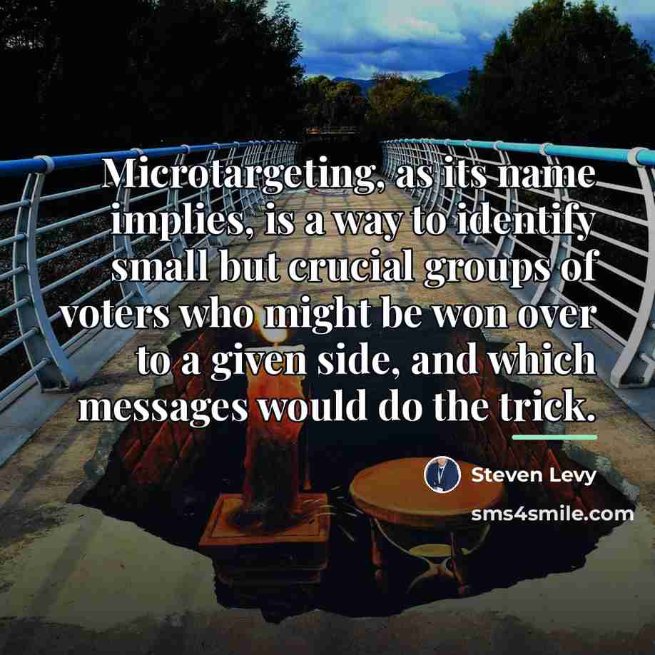 “Microtargeting, as its name implies, is a way to identify…” quote by Steven Levy