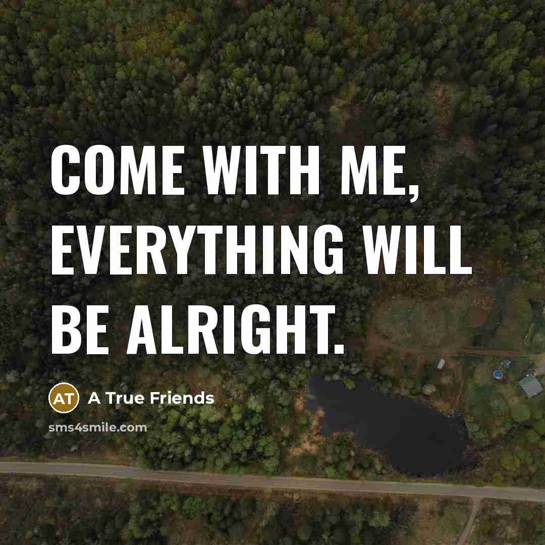 “Come with me, everything will be alright.” quote by A True Friends