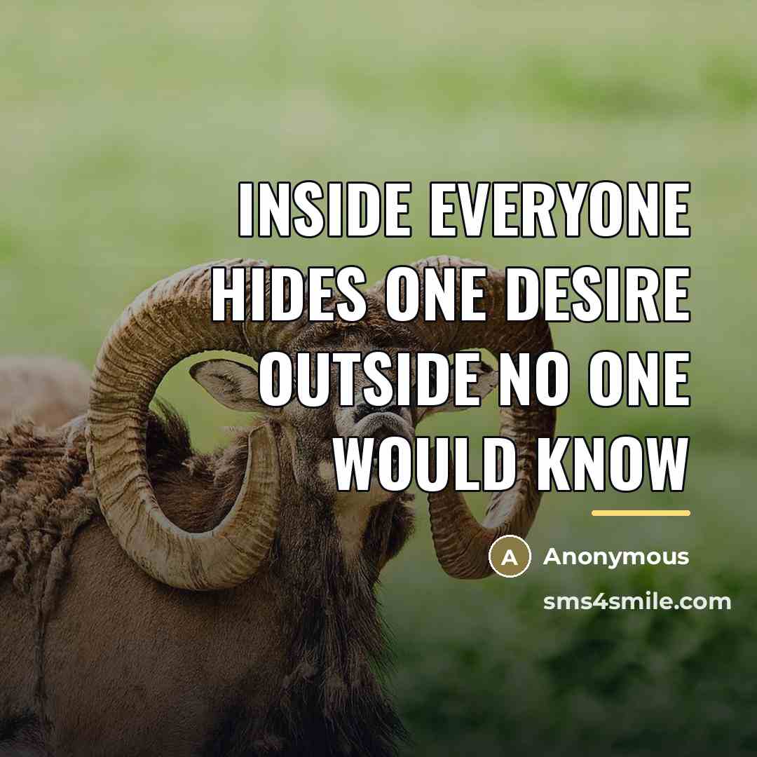 “Inside Everyone Hides One Desire Outside No One Would Know…” quote by Anonymous