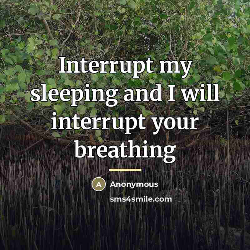 “Interrupt my sleeping and I will interrupt your breathing…” quote by Anonymous