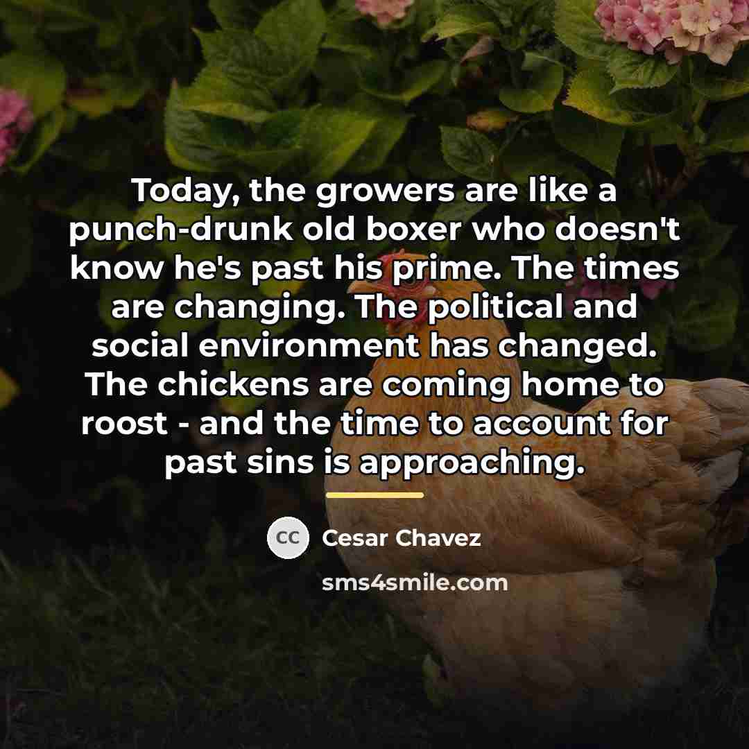 “Today, the growers are like a punch-drunk old boxer who…” quote by Cesar Chavez