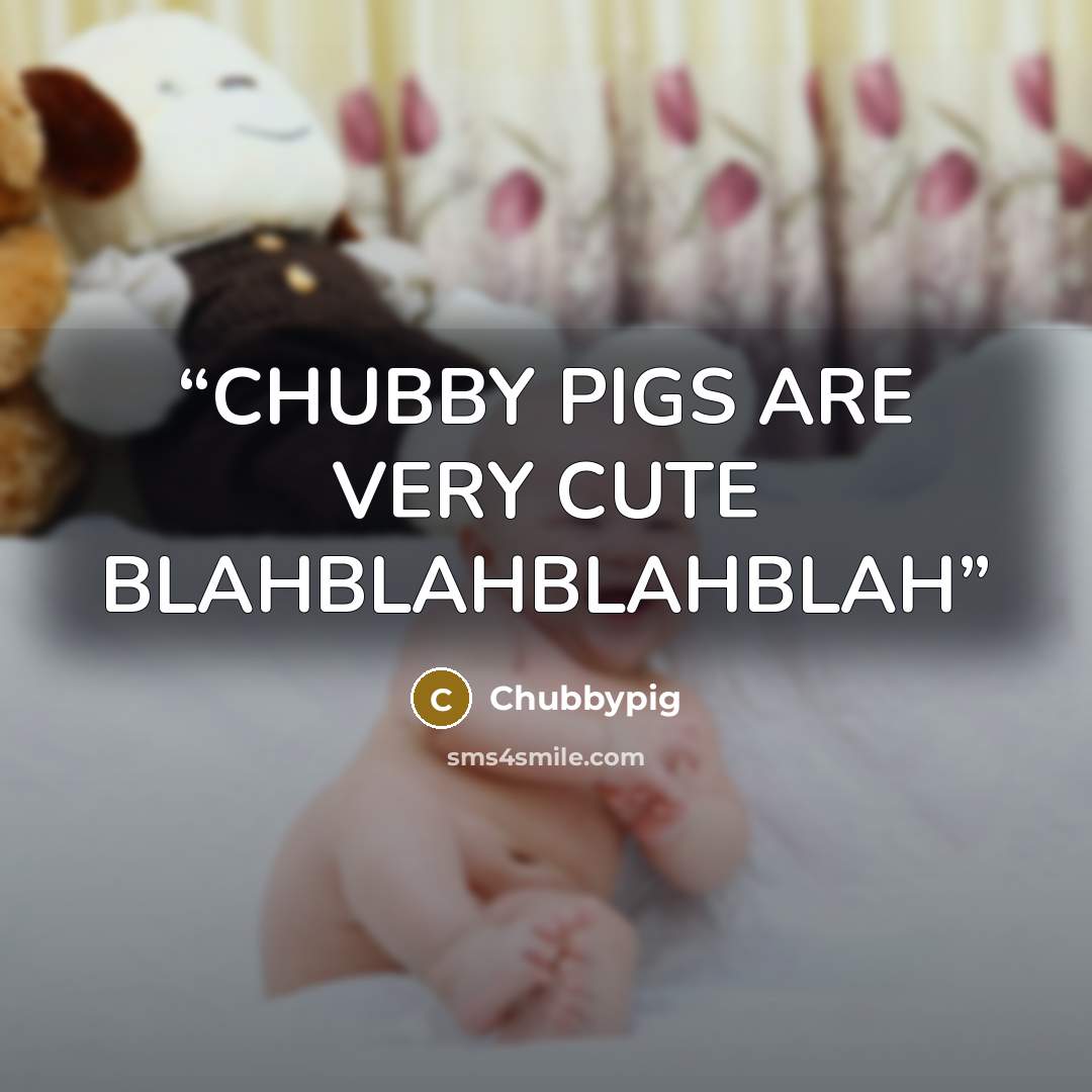 “CHUBBY PIGS ARE VERY CUTE BLAHBLAHBLAHBLAH” quote by Chubbypig