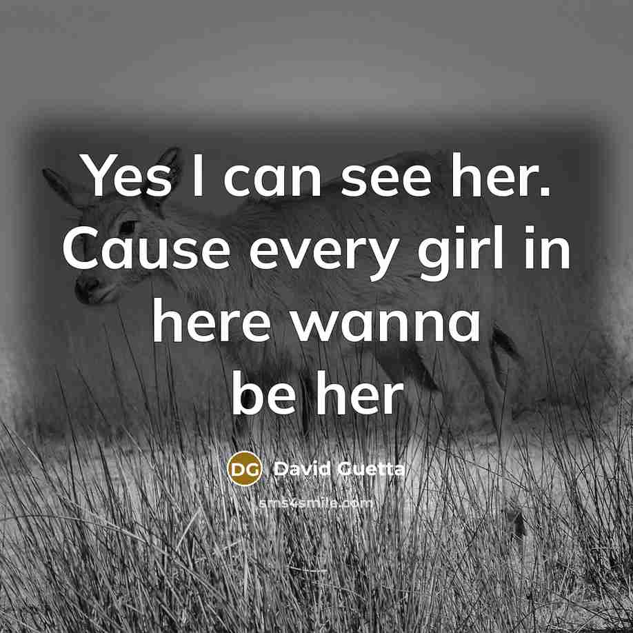“Yes I can see her. Cause every girl in here…” quote by David Guetta