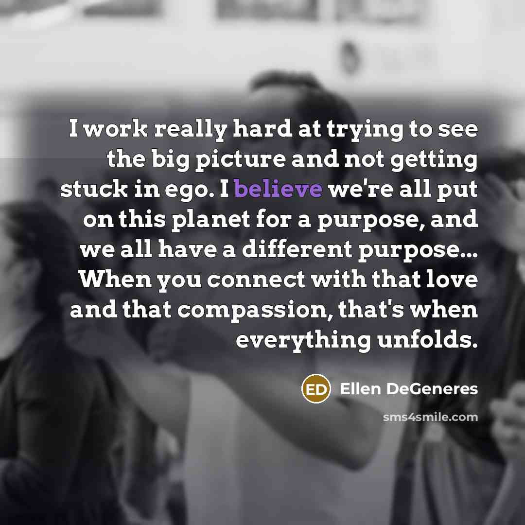 “I work really hard at trying to see the big…” quote by Ellen DeGeneres
