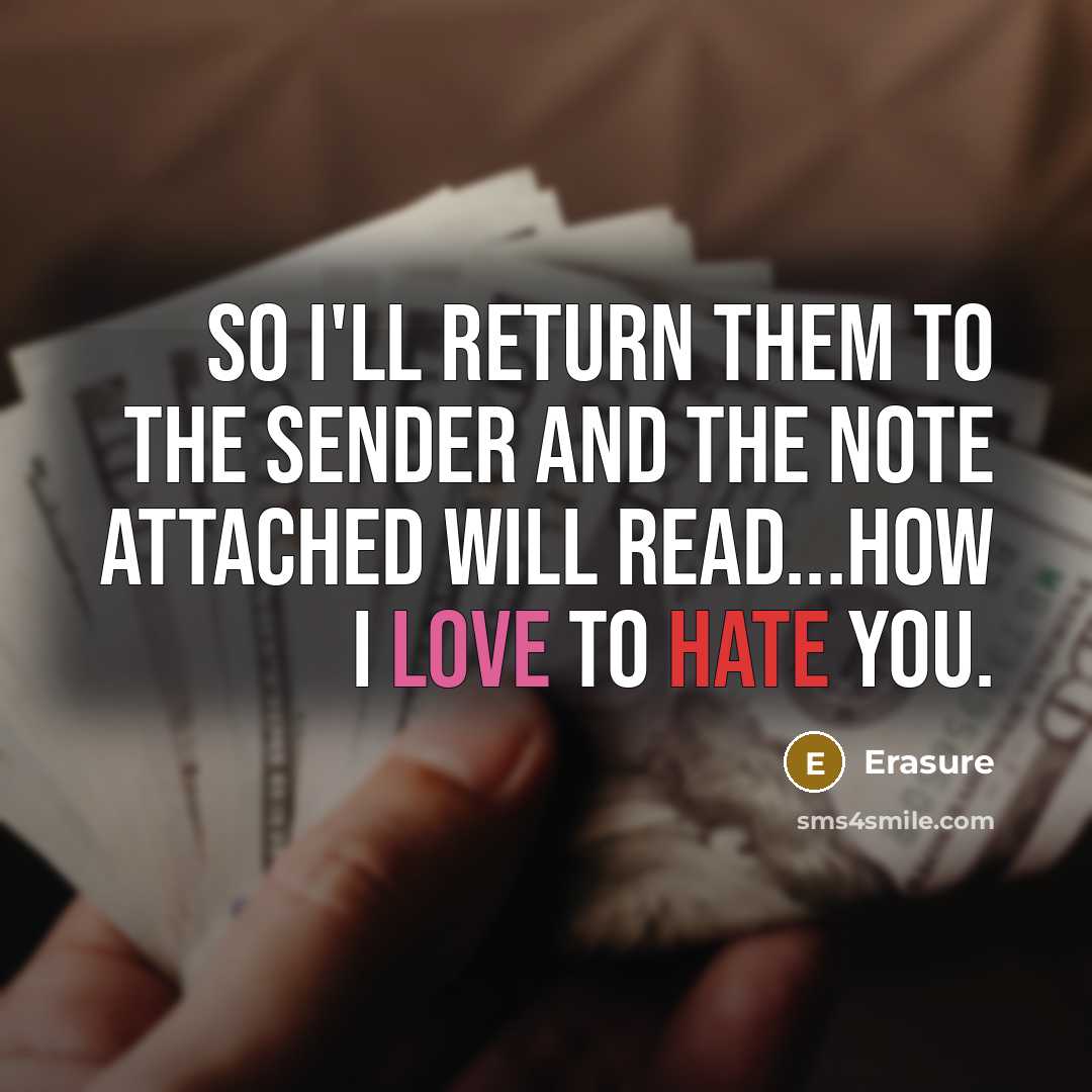 “So I'll return them to the sender and the note attached will read...How I love to hate you.” quote by Erasure