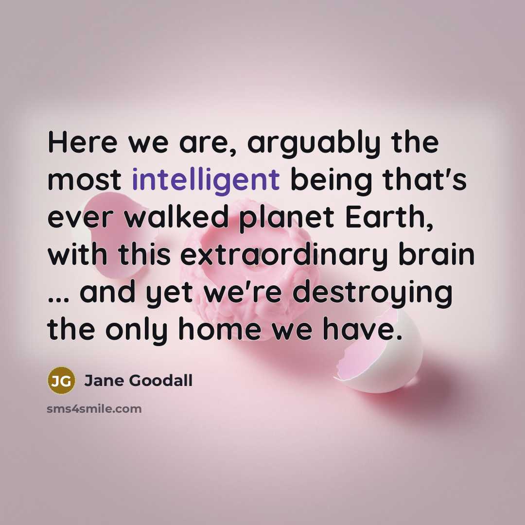 “Here we are, arguably the most intelligent being that's ever…” quote by Jane Goodall