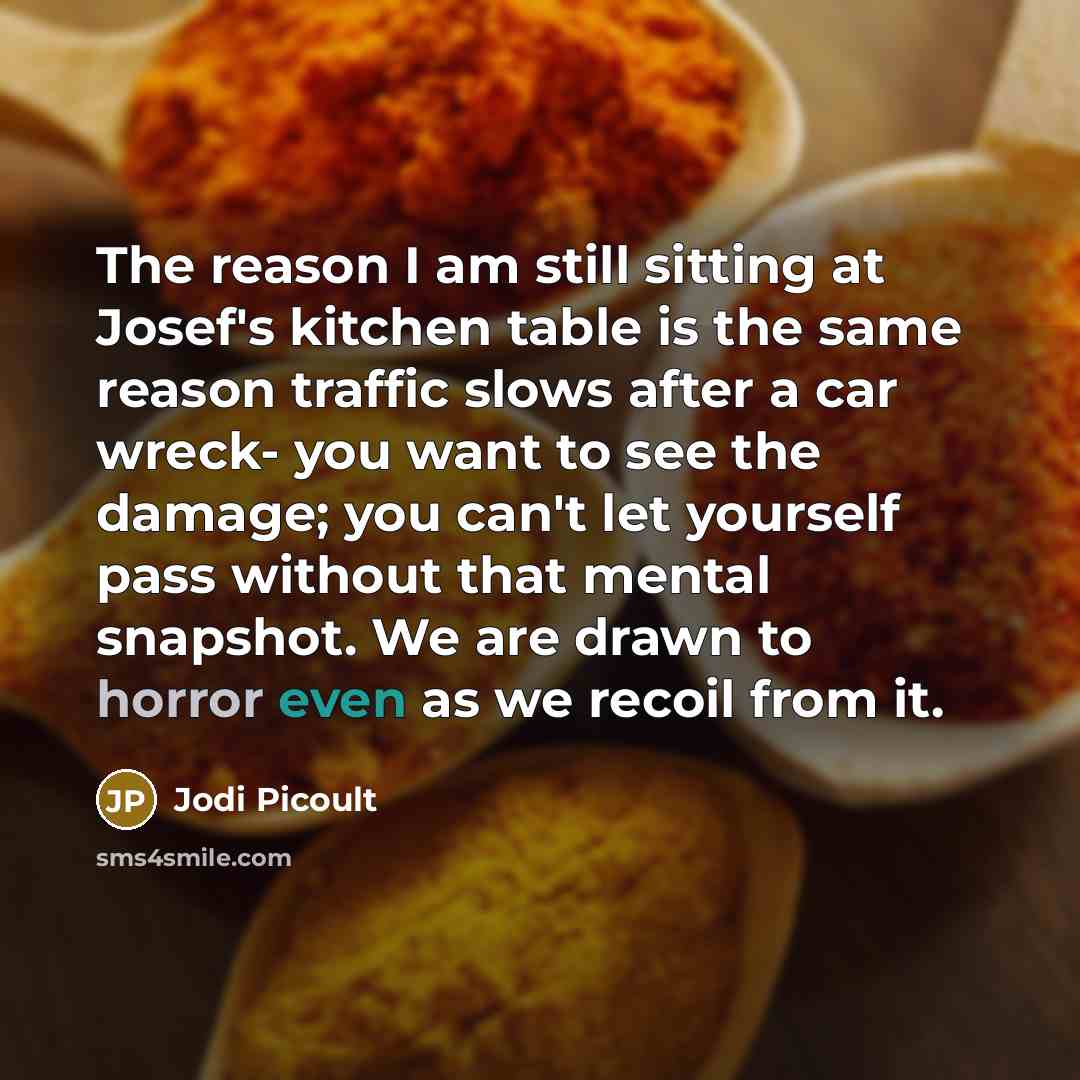 “The reason I am still sitting at Josef's kitchen table…” quote by Jodi Picoult