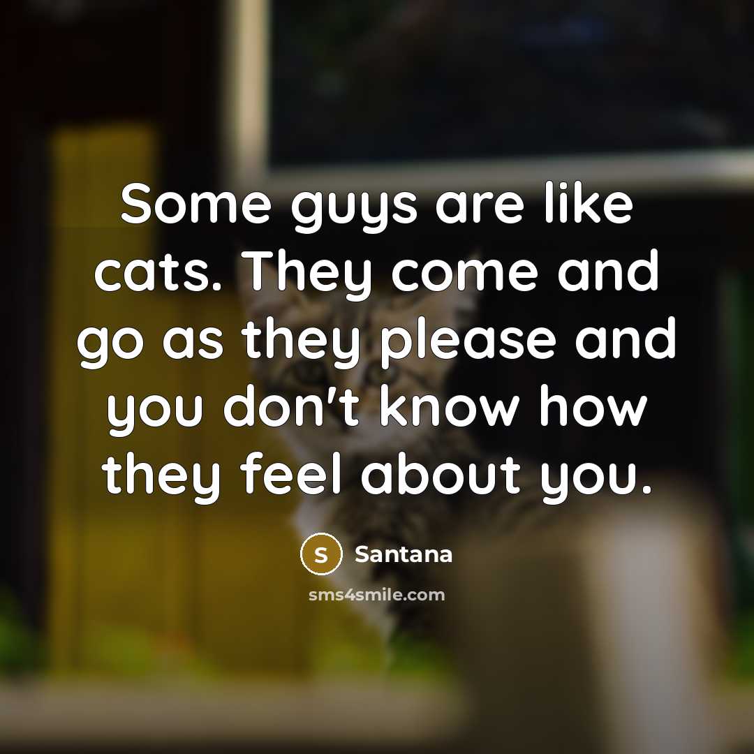 “Some guys are like cats. They come and go as…” quote by Santana
