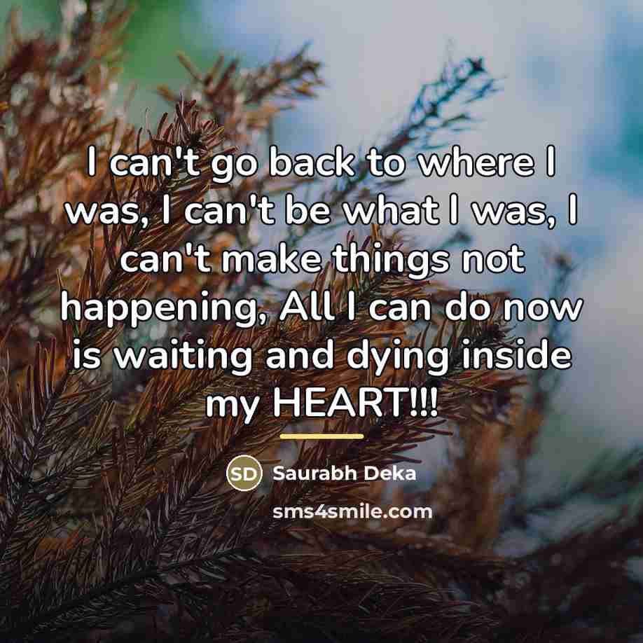 “I can't go back to where I was, I can't…” quote by Saurabh Deka