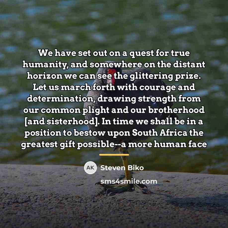 “We have set out on a quest for true humanity,…” quote by Steven Biko
