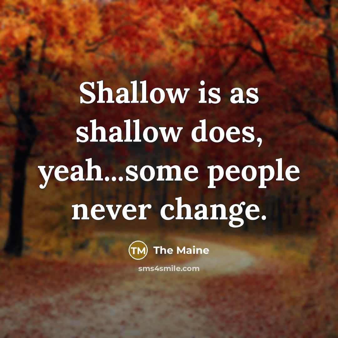 “Shallow is as shallow does, yeah...some people never change.” quote by The Maine