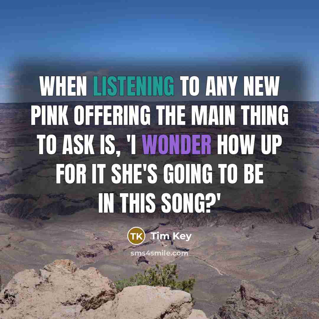 “When listening to any new Pink offering the main thing…” quote by Tim Key