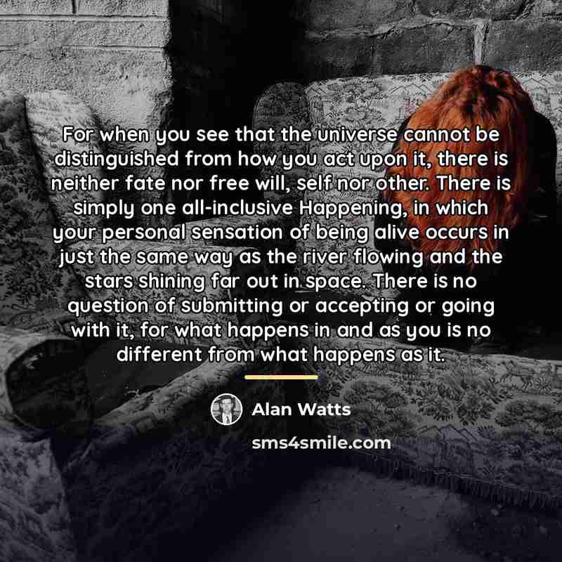 “For when you see that the universe cannot be distinguished…” quote by Alan Watts