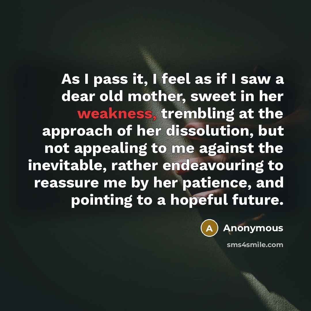 “As I pass it, I feel as if I saw…” quote by Anonymous