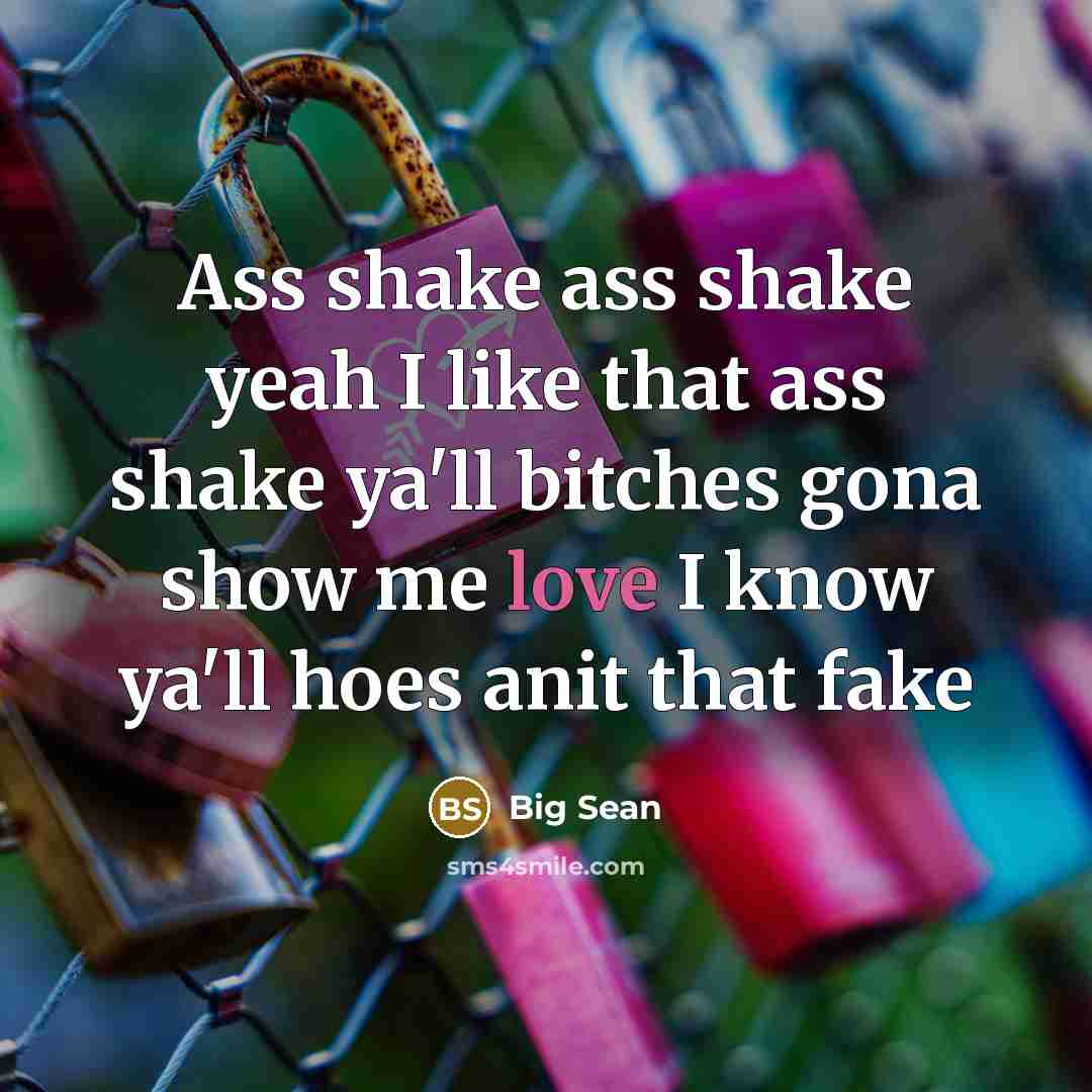 “Ass shake ass shake yeah I like that ass shake…” quote by Big Sean