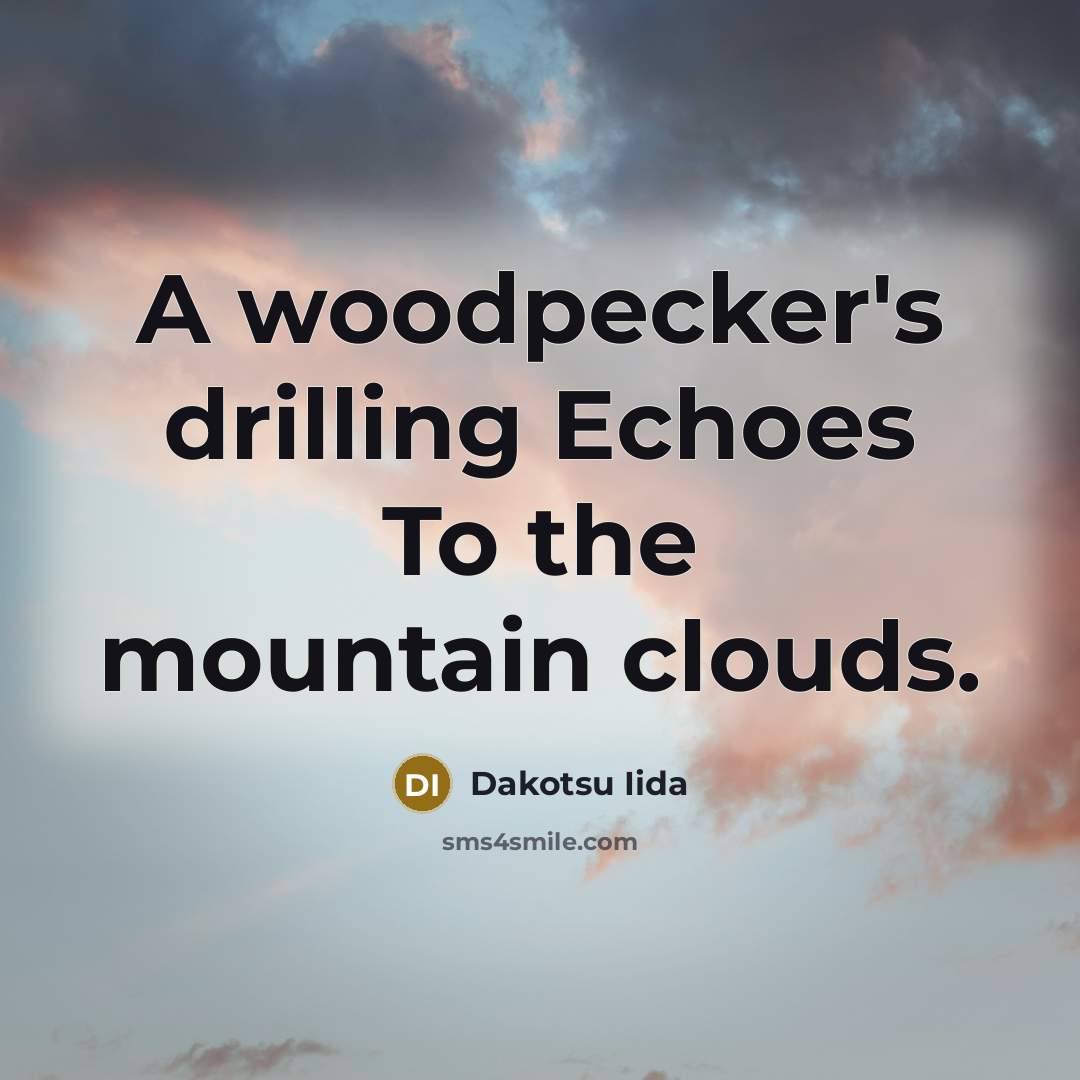 “A woodpecker's drilling Echoes To the mountain clouds.…” quote by Dakotsu Iida