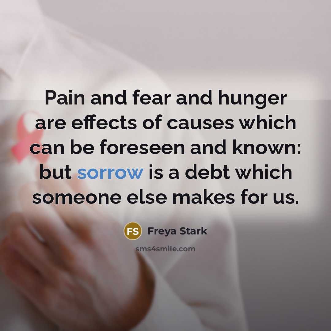 “Pain and fear and hunger are effects of causes which…” quote by Freya Stark