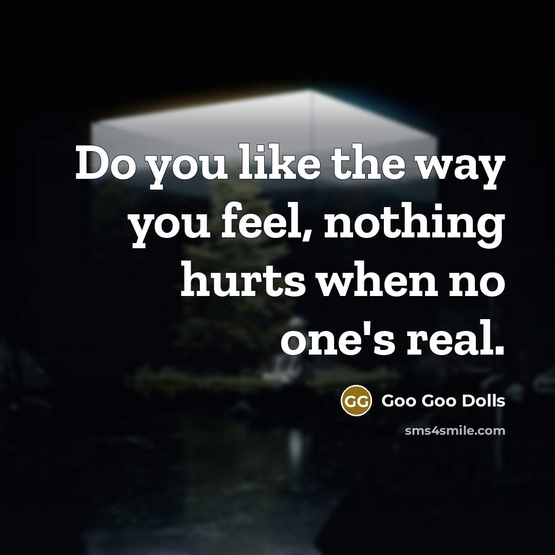 “Do you like the way you feel, nothing hurts when…” quote by Goo Goo Dolls