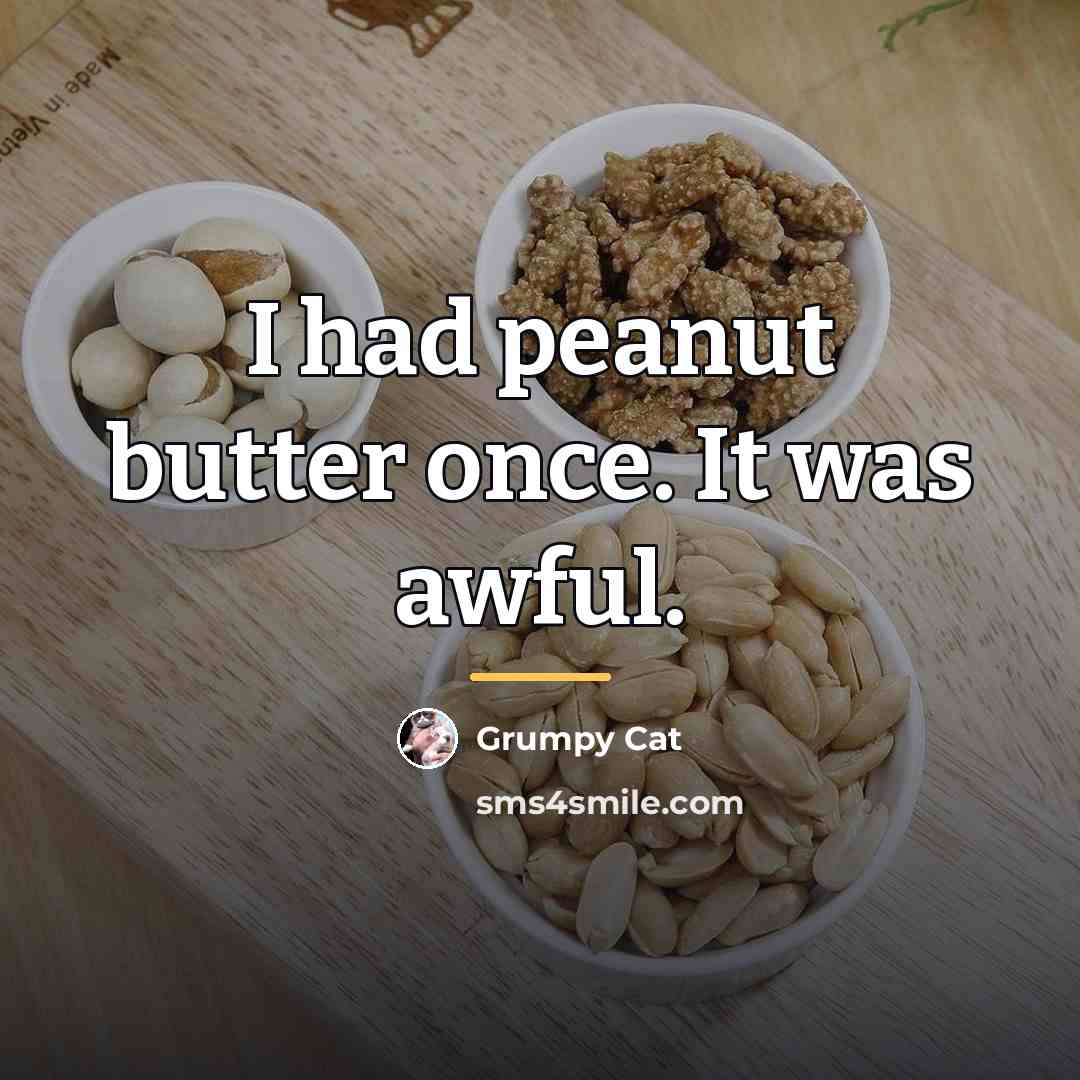 “I had peanut butter once. It was awful.…” quote by Grumpy Cat