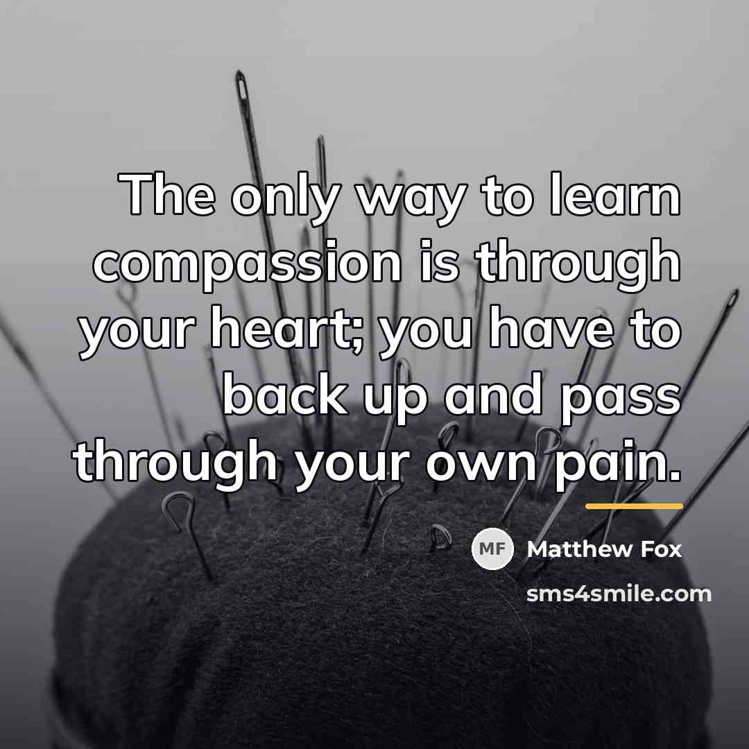 “The only way to learn compassion is through your heart;…” quote by Matthew Fox