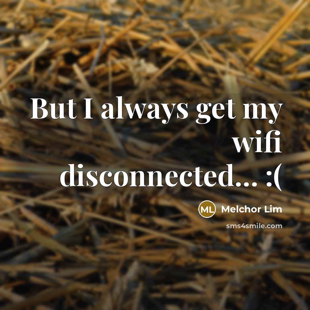 “But I always get my wifi disconnected… :(” quote by Melchor Lim