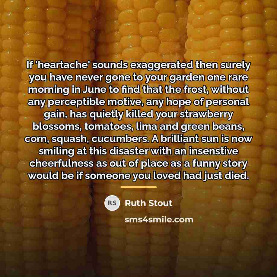 “If 'heartache' sounds exaggerated then surely you have never gone…” quote by Ruth Stout