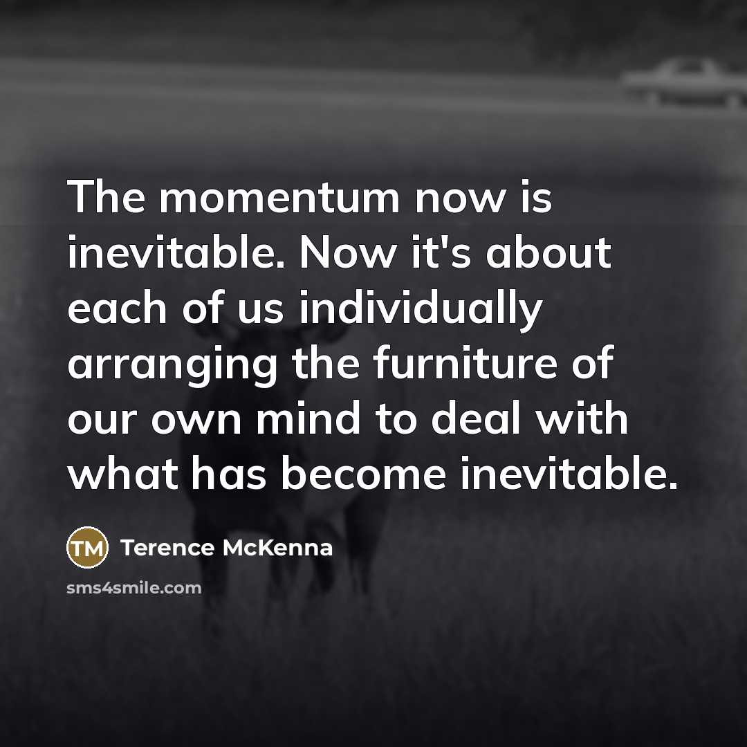 “The momentum now is inevitable. Now it's about each of…” quote by Terence McKenna